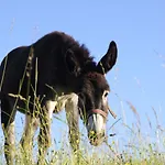 Jaktstuga W Dolinie Wiezycy