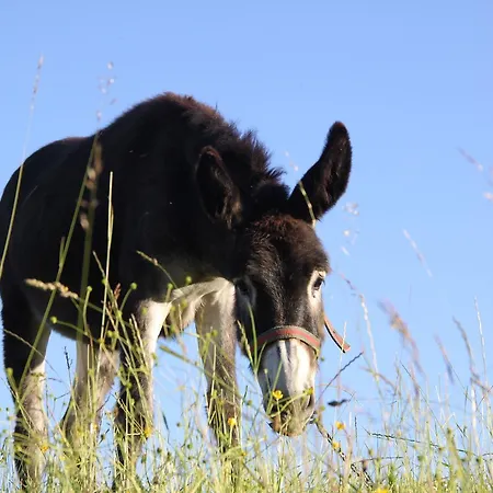Jaktstuga W Dolinie Wiezycy