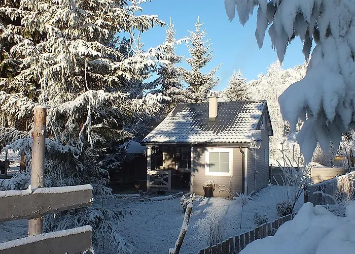 W Dolinie Wiezycy * Szymbark (Pomerania)